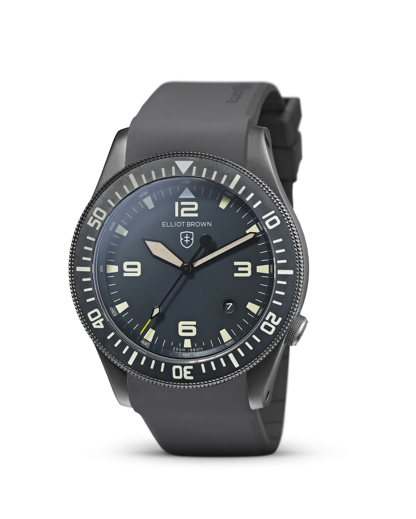 HOLTON: NIVO
